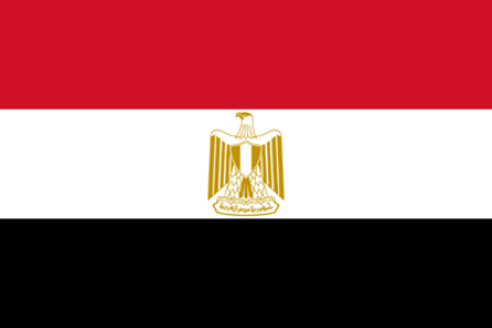 Egypt releases 461 activists from detention
