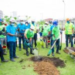  Environmental Day: Dangote Cement plants 7,205 trees