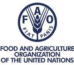 World food price index rises for third month running in August  FAO