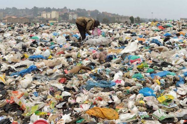 NGO calls for effective sensitisation on waste management
