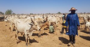 Farming: Herders harassments, greatest farmers challenge  AFAN