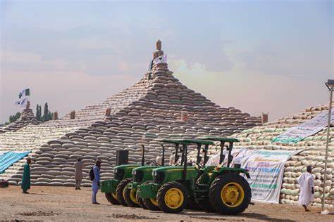 Ekiti Govt to embark on rice pyramid project, targets 1m tonnes