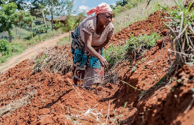 Expert charges farmers on soil profiling, composition