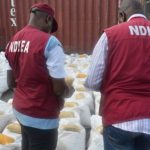  NDLEA seizes 203,879 Tramadol tabs in raids of 4 states