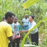  Food Security: FG, China partner on Juncao technology in agriculture