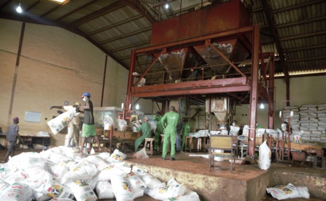 Bauchi govt. injects N1bn into fertiliser production