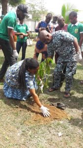 Kebbi plants 1m trees to combat desertification -Official