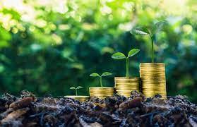 FG urges organizations to embrace green bond projects