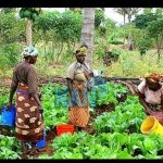  Increased funding of women panacea to climate change, environmental degradation