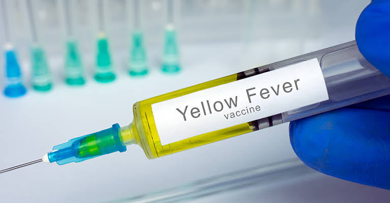 Navy, Delta Govt flag off yellow fever vaccination