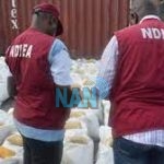  NDLEA to partner with NCWS to check drug abuse among women