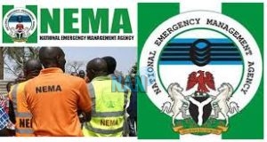 IDPs: NEMA commends Saudi Relief Centre for food donations