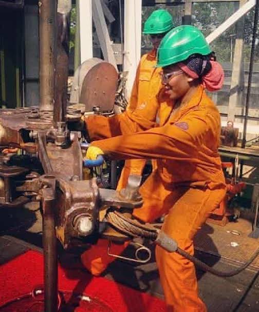 Expert advocates gender balance in oil, gas industry