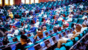 NIPSS exposes House of Reps members-elect to tasks ahead