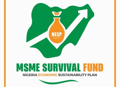 No training required to benefit from MSMEs Survival Fund  Presidency