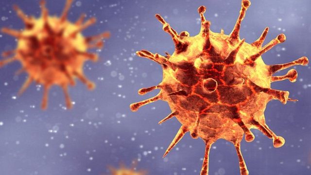 Coronavirus: Lockdowns cost Africa over  billion a month
