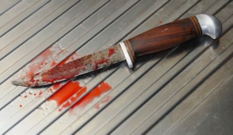 Girl, 18, stabs brother to death in Ondo