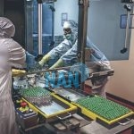  Vaccine production: West African scientists to boost local capacity