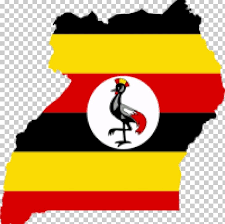 Uganda screens presidential candidates for 2021 elections