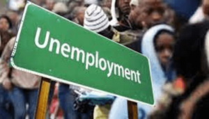 Experts suggest ways of tackling unemployment