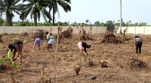 OPM reopens farm for repentant militants, commercial sex workers in Rivers