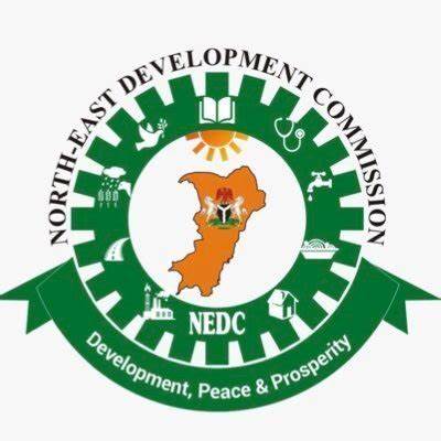 NEDC initiates 35 projects in Taraba  Official