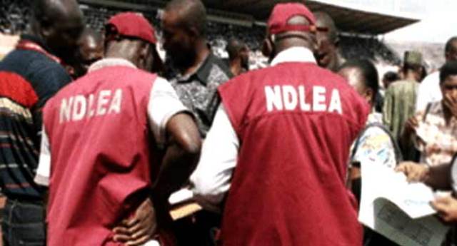 Oyo: NDLEA intercepts N12m worth of illicit drugs in 1Q