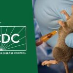  Nigeria reports 8 new Lassa fever infections