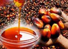 Palm oil records fall in prices at Enugu major markets