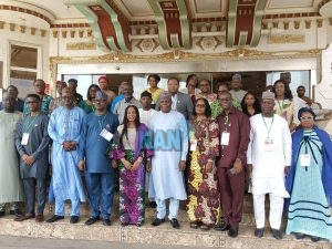 AUDA-NEPAD brainstorms on genome editing research in Nigeria