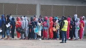 IOM, FG evacuate 152 Nigerians stranded in Libya
