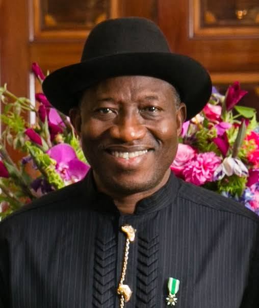 Support FGs insecurity fight efforts -Jonathan