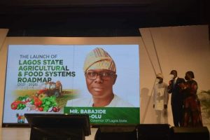 Lagos to generate bn in agriculture investment by 2025  Sanwo-Olu