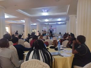 UN, EU, others decry electoral gender-based violence against women