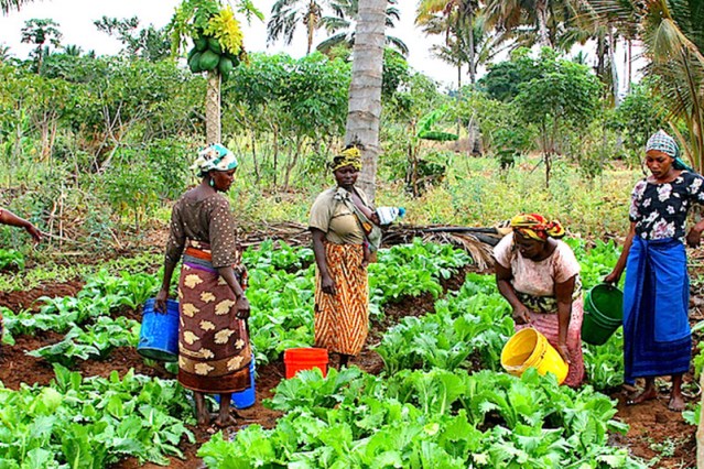 How Oyo women farmers react to NiMet 2021 weather forecast