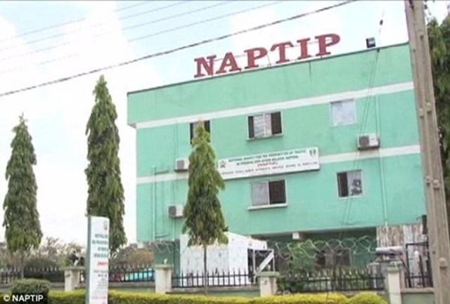 NAPTIP launches policy document to tackle gender-based violence