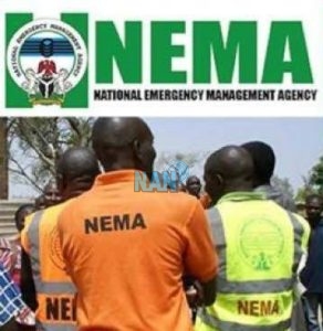 NEMA poised to evacuate stranded Nigerians in Sudan  DG