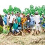  NextGen, IITA, NRCRI, inaugurate new cassava varieties in Kogi