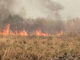 Dry season: NGO cautions against bush burning