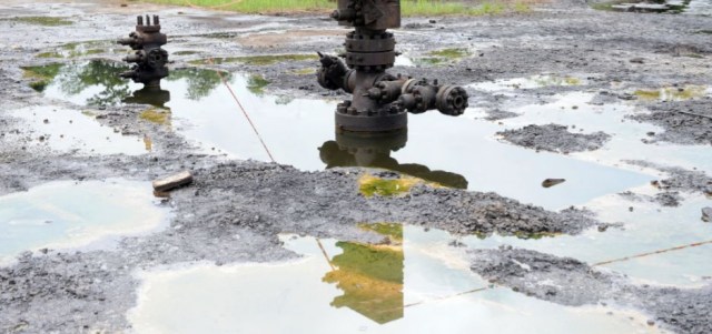 Environmentalist tasks oil firms on onshore pollution cleaning