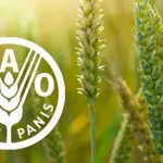  FAO takes awareness on food standards, practice to grassroots