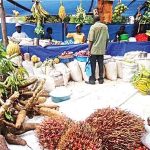  Firm to establish Africas largest farmers market in Nigeria