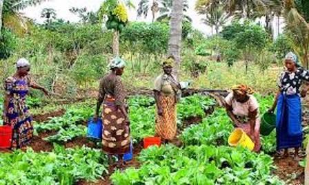 Minister calls for youths, women involvement in agriculture