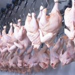  Malaysias ban on chicken exports takes effect